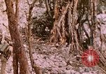 Standbild 11 US Marine Regiment Peleliu Palau Inseln, 1944, aus Sekunde 48 historischem Filmmaterial Videoclip 65675022893