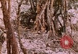 Standbild 11 US Marine Regiment Peleliu Palau Inseln, 1944, aus Sekunde 49 historischem Filmmaterial Videoclip 65675022893
