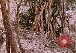 Standbild 11 US Marine Regiment Peleliu Palau Inseln, 1944, aus Sekunde 50 historischem Filmmaterial Videoclip 65675022893