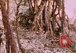 Standbild 11 US Marine Regiment Peleliu Palau Inseln, 1944, aus Sekunde 51 historischem Filmmaterial Videoclip 65675022893