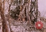 Standbild 11 US Marine Regiment Peleliu Palau Inseln, 1944, aus Sekunde 52 historischem Filmmaterial Videoclip 65675022893
