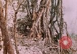 Standbild 11 US Marine Regiment Peleliu Palau Inseln, 1944, aus Sekunde 53 historischem Filmmaterial Videoclip 65675022893