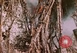 Standbild 11 US Marine Regiment Peleliu Palau Inseln, 1944, aus Sekunde 54 historischem Filmmaterial Videoclip 65675022893