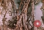 Standbild 11 US Marine Regiment Peleliu Palau Inseln, 1944, aus Sekunde 55 historischem Filmmaterial Videoclip 65675022893