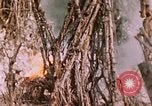 Standbild 11 US Marine Regiment Peleliu Palau Inseln, 1944, aus Sekunde 56 historischem Filmmaterial Videoclip 65675022893