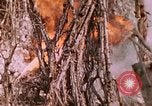Standbild 11 US Marine Regiment Peleliu Palau Inseln, 1944, aus Sekunde 57 historischem Filmmaterial Videoclip 65675022893