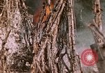 Standbild 11 US Marine Regiment Peleliu Palau Inseln, 1944, aus Sekunde 58 historischem Filmmaterial Videoclip 65675022893