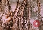 Standbild 11 US Marine Regiment Peleliu Palau Inseln, 1944, aus Sekunde 60 historischem Filmmaterial Videoclip 65675022893