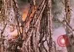 Standbild 11 US Marine Regiment Peleliu Palau Inseln, 1944, aus Sekunde 61 historischem Filmmaterial Videoclip 65675022893