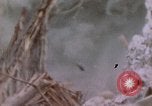 Image -NOUS 11e Régiment de Marines Peleliu îles Palau, 1944, de la seconde 9 séquences d'archives historiques vidéo 65675022894