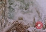 Image -NOUS 11e Régiment de Marines Peleliu îles Palau, 1944, de la seconde 10 séquences d'archives historiques vidéo 65675022894