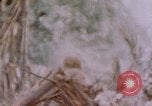 Image -NOUS 11e Régiment de Marines Peleliu îles Palau, 1944, de la seconde 11 séquences d'archives historiques vidéo 65675022894