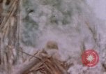 Image -NOUS 11e Régiment de Marines Peleliu îles Palau, 1944, de la seconde 12 séquences d'archives historiques vidéo 65675022894