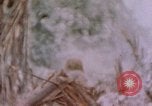Image -NOUS 11e Régiment de Marines Peleliu îles Palau, 1944, de la seconde 13 séquences d'archives historiques vidéo 65675022894