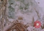 Image -NOUS 11e Régiment de Marines Peleliu îles Palau, 1944, de la seconde 15 séquences d'archives historiques vidéo 65675022894