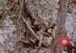 Image -NOUS 11e Régiment de Marines Peleliu îles Palau, 1944, de la seconde 41 séquences d'archives historiques vidéo 65675022894