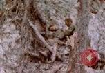 Image -NOUS 11e Régiment de Marines Peleliu îles Palau, 1944, de la seconde 42 séquences d'archives historiques vidéo 65675022894