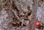 Image -NOUS 11e Régiment de Marines Peleliu îles Palau, 1944, de la seconde 43 séquences d'archives historiques vidéo 65675022894