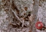 Image -NOUS 11e Régiment de Marines Peleliu îles Palau, 1944, de la seconde 45 séquences d'archives historiques vidéo 65675022894