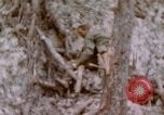 Image -NOUS 11e Régiment de Marines Peleliu îles Palau, 1944, de la seconde 46 séquences d'archives historiques vidéo 65675022894