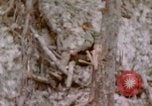 Image -NOUS 11e Régiment de Marines Peleliu îles Palau, 1944, de la seconde 47 séquences d'archives historiques vidéo 65675022894