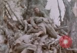 Image -NOUS 11e Régiment de Marines Peleliu îles Palau, 1944, de la seconde 49 séquences d'archives historiques vidéo 65675022894