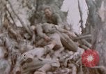 Image -NOUS 11e Régiment de Marines Peleliu îles Palau, 1944, de la seconde 50 séquences d'archives historiques vidéo 65675022894