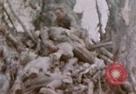 Image -NOUS 11e Régiment de Marines Peleliu îles Palau, 1944, de la seconde 51 séquences d'archives historiques vidéo 65675022894