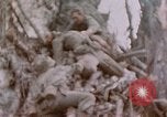 Image -NOUS 11e Régiment de Marines Peleliu îles Palau, 1944, de la seconde 52 séquences d'archives historiques vidéo 65675022894