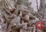 Image -NOUS 11e Régiment de Marines Peleliu îles Palau, 1944, de la seconde 54 séquences d'archives historiques vidéo 65675022894