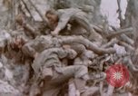 Image -NOUS 11e Régiment de Marines Peleliu îles Palau, 1944, de la seconde 57 séquences d'archives historiques vidéo 65675022894