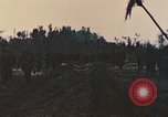 Image of First Marine Diovision Peleliu Palau Islands, 1944, second 16 stock footage video 65675022896