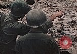 Image of 1st Marine Division Peleliu Palau Islands, 1944, second 12 stock footage video 65675022897
