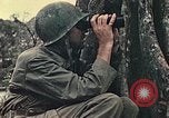 Image of 1st Marine Division Peleliu Palau Islands, 1944, second 35 stock footage video 65675022897