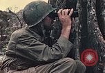 Image of 1st Marine Division Peleliu Palau Islands, 1944, second 38 stock footage video 65675022897