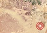 Image of 1st Marine Division Peleliu Palau Islands, 1944, second 40 stock footage video 65675022897