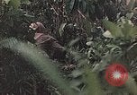 Image of 1st Marine Division Peleliu Palau Islands, 1944, second 42 stock footage video 65675022897