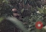 Image of 1st Marine Division Peleliu Palau Islands, 1944, second 44 stock footage video 65675022897