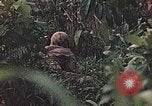 Image of 1st Marine Division Peleliu Palau Islands, 1944, second 45 stock footage video 65675022897