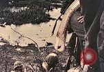 Image of 1st Marine Division Peleliu Palau Islands, 1944, second 5 stock footage video 65675022898