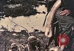 Image of 1st Marine Division Peleliu Palau Islands, 1944, second 6 stock footage video 65675022898