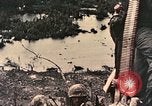Image of 1st Marine Division Peleliu Palau Islands, 1944, second 12 stock footage video 65675022898