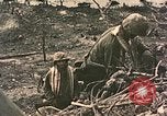Image of 1st Marine Division Peleliu Palau Islands, 1944, second 13 stock footage video 65675022898