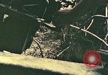 Image of 1st Marine Division Peleliu Palau Islands, 1944, second 60 stock footage video 65675022898