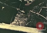 Image of 1st Marine Division Peleliu Palau Islands, 1944, second 61 stock footage video 65675022898