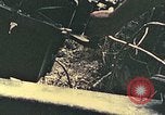 Image of 1st Marine Division Peleliu Palau Islands, 1944, second 62 stock footage video 65675022898