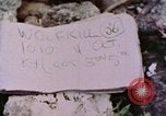 Standbild 1st Marine Division Peleliu Palau Inseln, 1944, aus Sekunde 19 historischem Filmmaterial Videoclip 65675022899