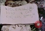 Standbild 1st Marine Division Peleliu Palau Inseln, 1944, aus Sekunde 20 historischem Filmmaterial Videoclip 65675022899