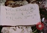 Standbild 1st Marine Division Peleliu Palau Inseln, 1944, aus Sekunde 21 historischem Filmmaterial Videoclip 65675022899