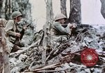 Standbild 1st Marine Division Peleliu Palau Inseln, 1944, aus Sekunde 33 historischem Filmmaterial Videoclip 65675022899